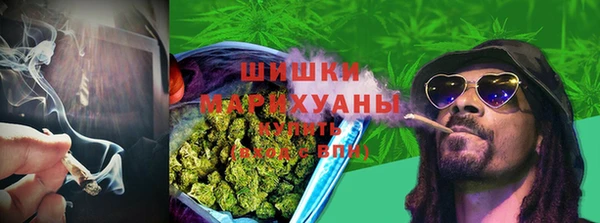 ГАЛЛЮЦИНОГЕННЫЕ ГРИБЫ Алексин