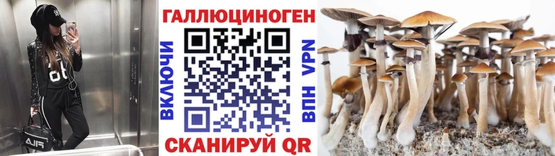 наркотики  Кирс  Псилоцибиновые грибы Psilocybe 
